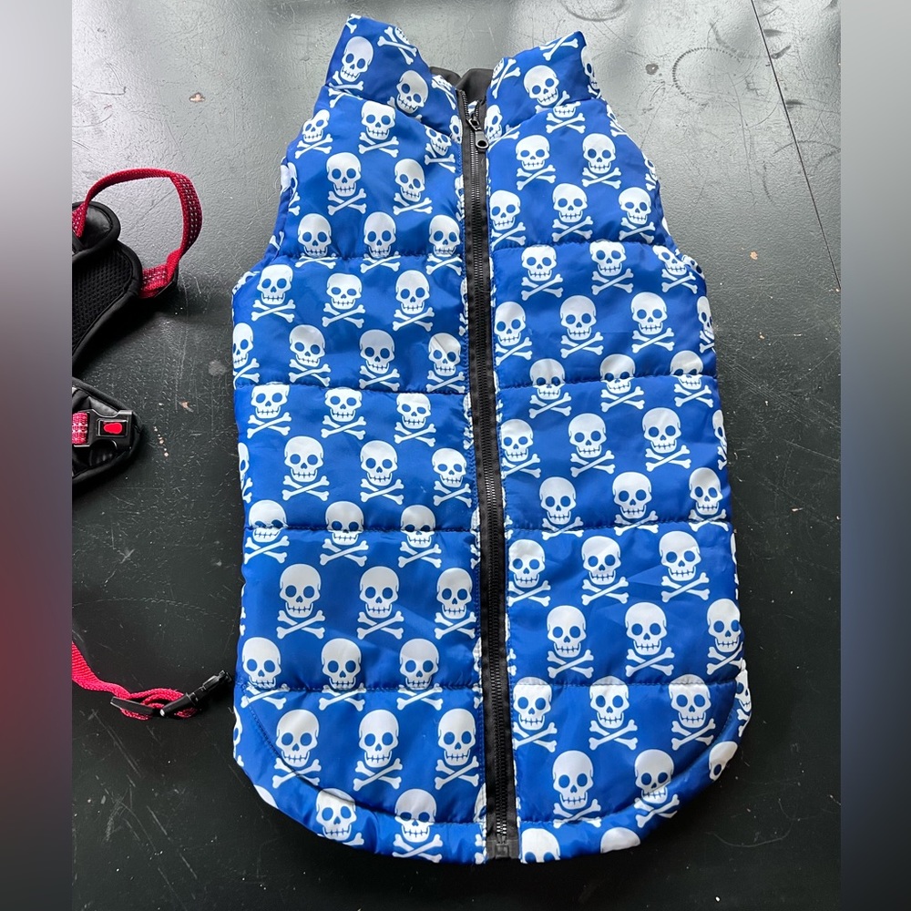 Dog jacket -blue with white skulls. Size large